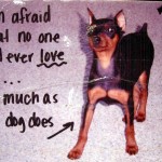 post secret dog